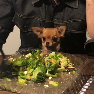 Meet your Posher, Griffith